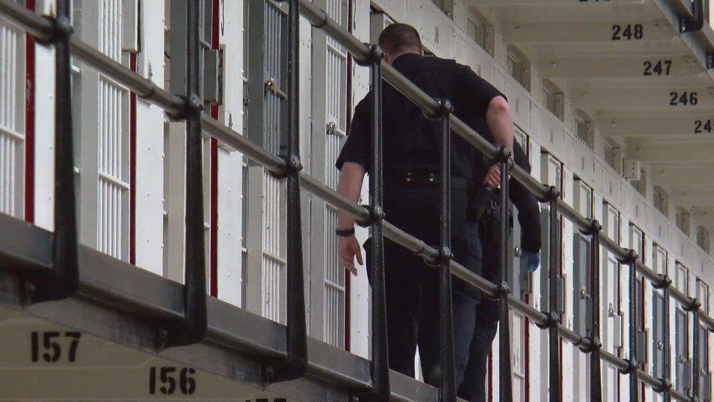 More than two dozen Georgia prisons on lockdown over security concerns following inmate fight — Peachtree City Health news