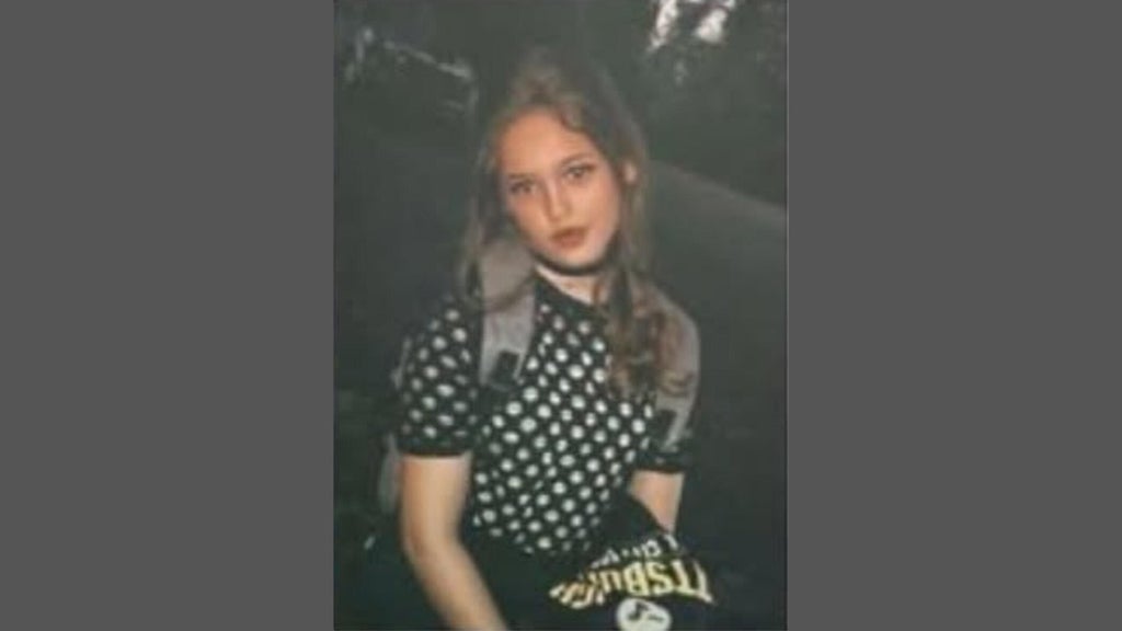 FBI joins search for Georgia 16-year-old girl who has been missing for over a week — Peachtree City Community news